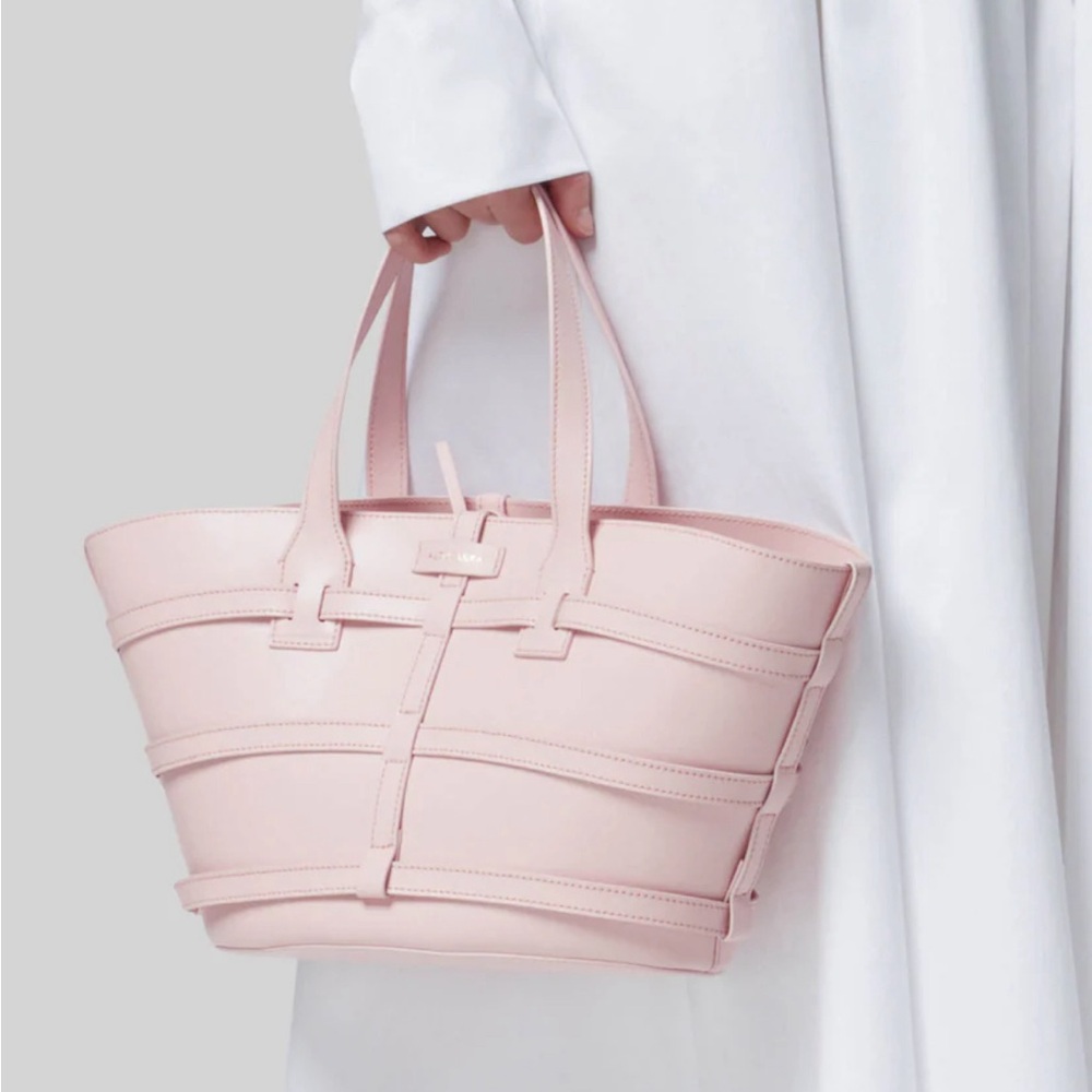 Altuzarra bag
